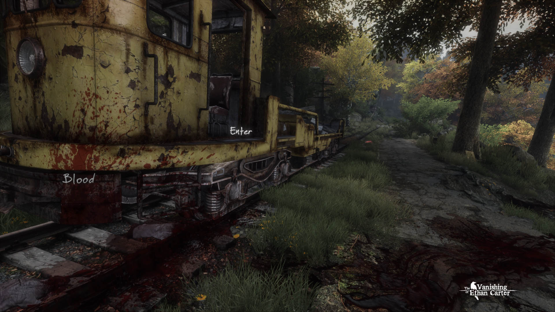 The Vanishing of Ethan Carter -Black Box