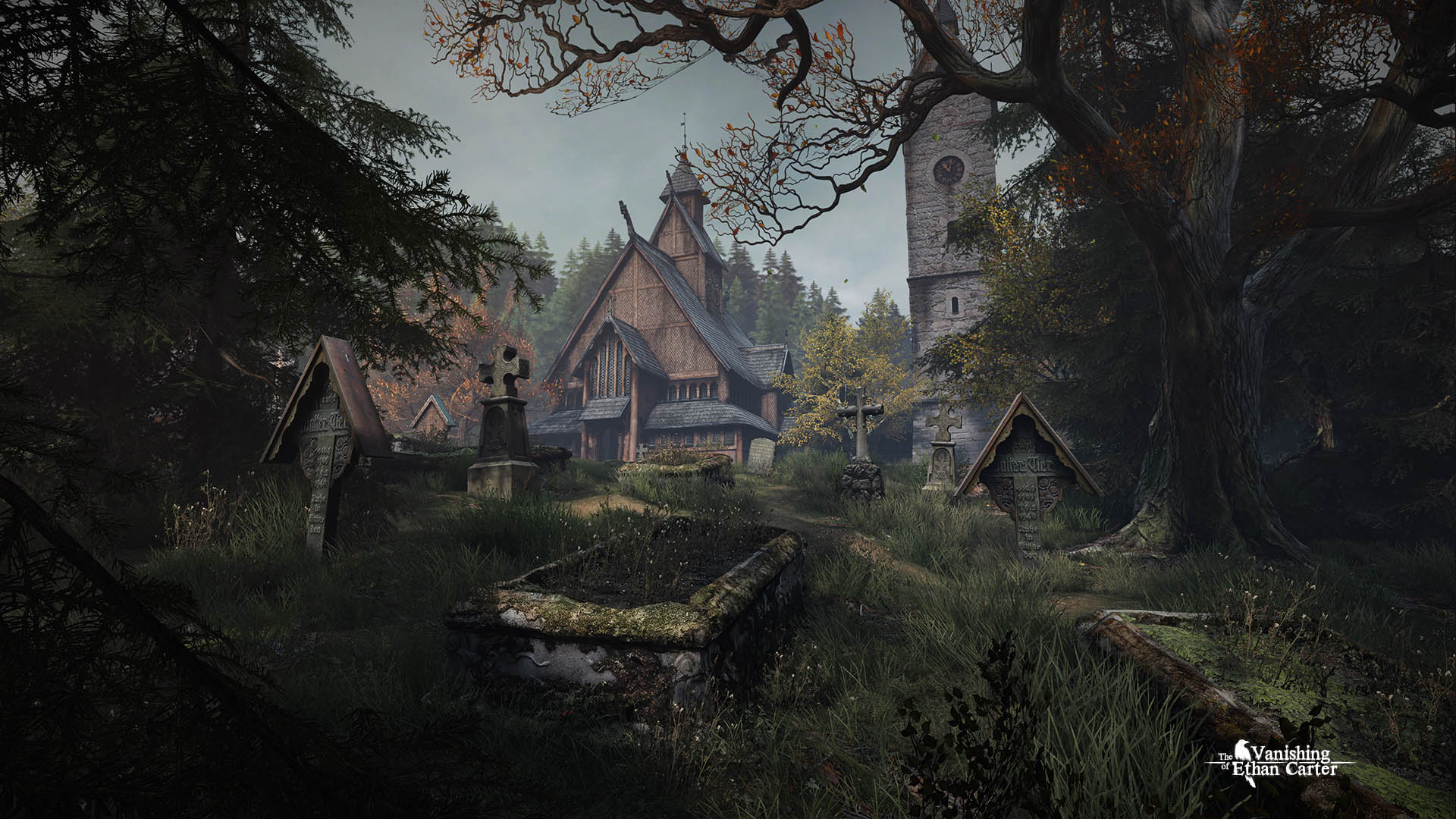 The Vanishing of Ethan Carter -Black Box