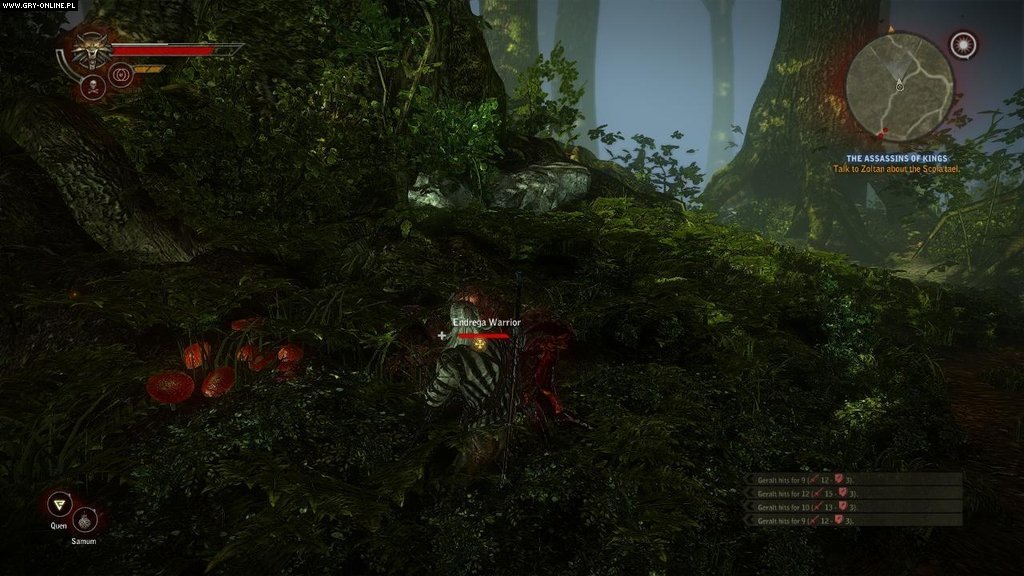 The Witcher 2 - Black Box