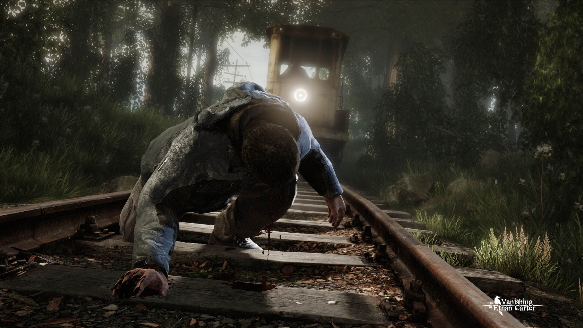The Vanishing of Ethan Carter -Black Box