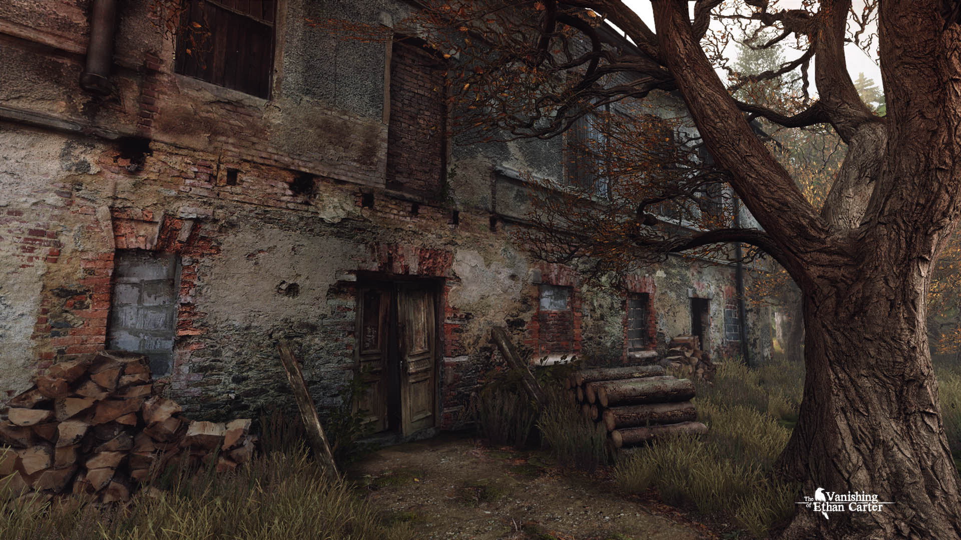 The Vanishing of Ethan Carter -Black Box